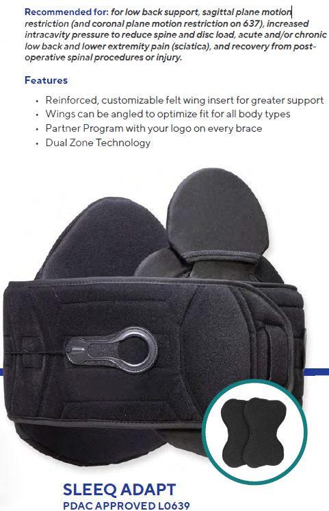 low back support, sagittal plane motion