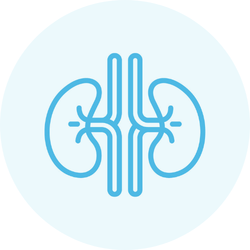 Urology Products